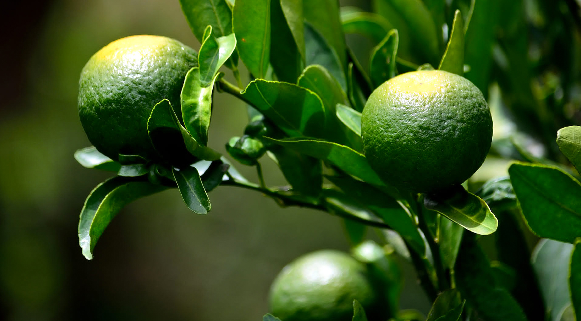 头号玩家·(龙8-long8)唯一官方网站