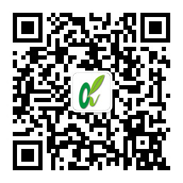 头号玩家·(龙8-long8)唯一官方网站