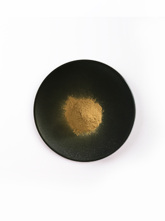 头号玩家·(龙8-long8)唯一官方网站